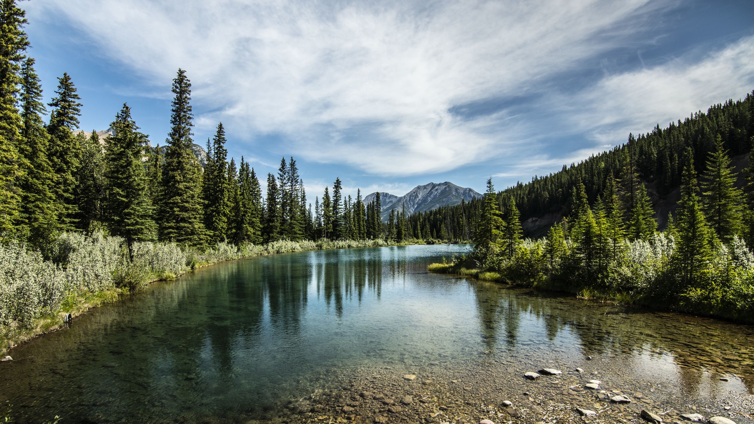 Download wallpaper 2560x1440 mountains, lake, forest, trees, stones