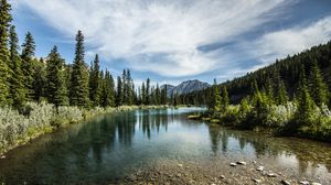 Preview wallpaper mountains, lake, forest, trees, stones