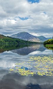 Preview wallpaper mountains, lake, forest, trees, reflection