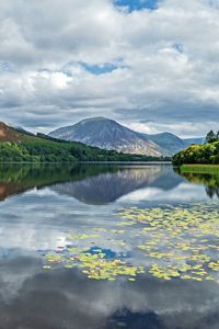Preview wallpaper mountains, lake, forest, trees, reflection
