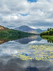 Preview wallpaper mountains, lake, forest, trees, reflection