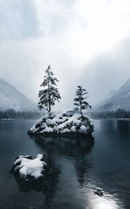 Preview wallpaper mountains, lake, forest, trees, fog, snow, winter