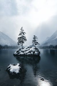 Preview wallpaper mountains, lake, forest, trees, fog, snow, winter