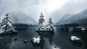 Preview wallpaper mountains, lake, forest, trees, fog, snow, winter