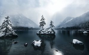 Preview wallpaper mountains, lake, forest, trees, fog, snow, winter