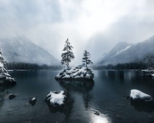 Preview wallpaper mountains, lake, forest, trees, fog, snow, winter