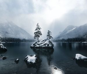 Preview wallpaper mountains, lake, forest, trees, fog, snow, winter