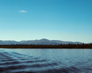 Preview wallpaper mountains, lake, horizon, trees, ripples