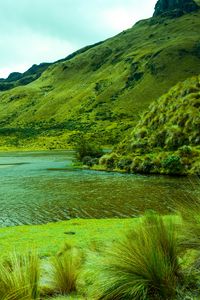 Preview wallpaper mountains, lake, lagoon, green, grass