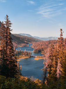 Preview wallpaper mountains, lake, landscape, needles, fir