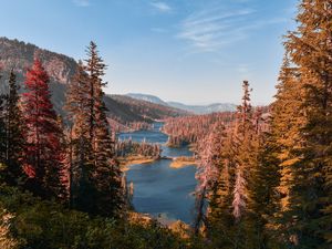 Preview wallpaper mountains, lake, landscape, needles, fir