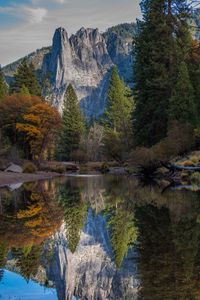 Preview wallpaper mountains, lake, reflection, forest