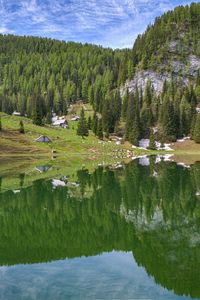 Preview wallpaper mountains, lake, reflection, trees