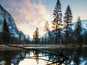 Preview wallpaper mountains, lake, snag, trees