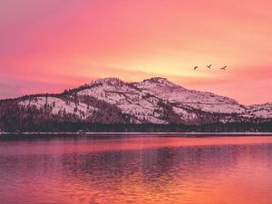 Preview wallpaper mountains, lake, sunset, horizon, birds