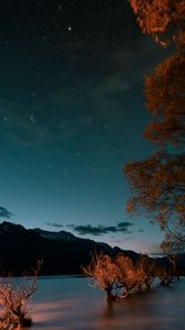 Preview wallpaper mountains, lake, trees, twilight, starry sky