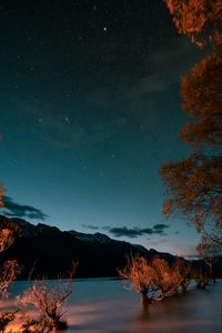 Preview wallpaper mountains, lake, trees, twilight, starry sky