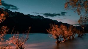 Preview wallpaper mountains, lake, trees, twilight, starry sky