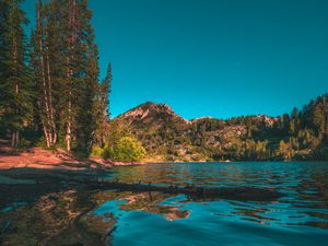 Preview wallpaper mountains, lake, trees, spruce, landscape