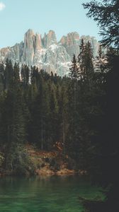 Preview wallpaper mountains, lake, trees, branches, sky
