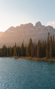 Preview wallpaper mountains, lake, trees, spruce, rocks