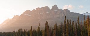 Preview wallpaper mountains, lake, trees, spruce, rocks