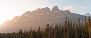 Preview wallpaper mountains, lake, trees, spruce, rocks