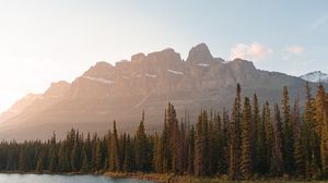 Preview wallpaper mountains, lake, trees, spruce, rocks