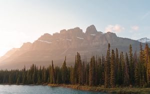 Preview wallpaper mountains, lake, trees, spruce, rocks