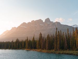 Preview wallpaper mountains, lake, trees, spruce, rocks