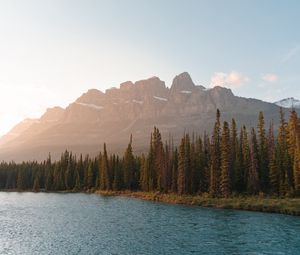 Preview wallpaper mountains, lake, trees, spruce, rocks