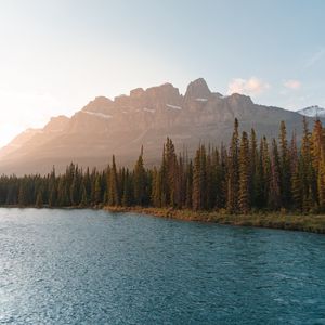 Preview wallpaper mountains, lake, trees, spruce, rocks