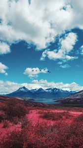 Preview wallpaper mountains, lake, valley, birds, landscape