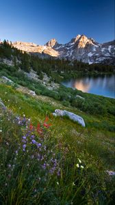 Preview wallpaper mountains, lake, valley, grass, flowers, landscape