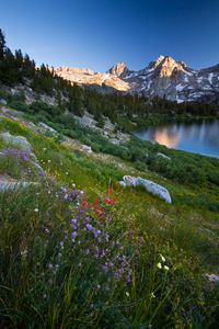 Preview wallpaper mountains, lake, valley, grass, flowers, landscape