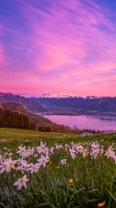 Preview wallpaper mountains, lake, valley, flowers