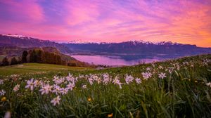 Preview wallpaper mountains, lake, valley, flowers