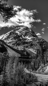 Preview wallpaper mountains, landscape, bw, nature, trees