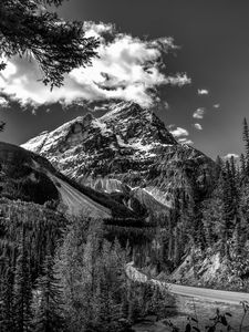 Preview wallpaper mountains, landscape, bw, nature, trees