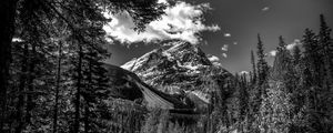 Preview wallpaper mountains, landscape, bw, nature, trees