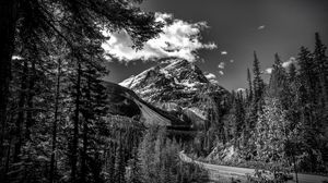 Preview wallpaper mountains, landscape, bw, nature, trees