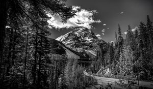 Preview wallpaper mountains, landscape, bw, nature, trees