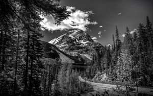 Preview wallpaper mountains, landscape, bw, nature, trees