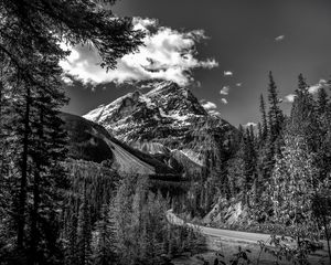 Preview wallpaper mountains, landscape, bw, nature, trees