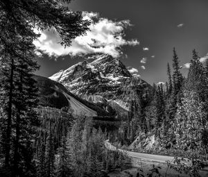 Preview wallpaper mountains, landscape, bw, nature, trees