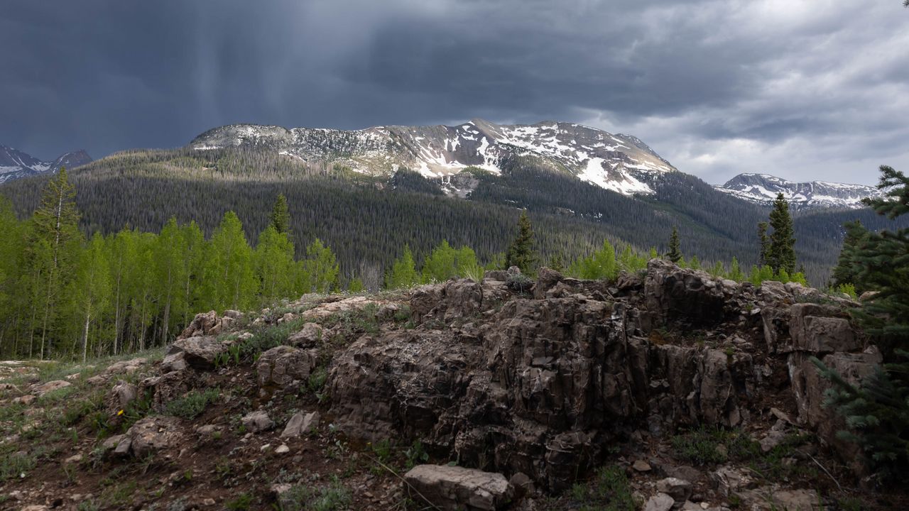 Wallpaper mountains, landscape, forest, trees, stones