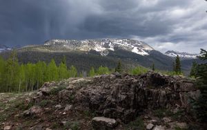 Preview wallpaper mountains, landscape, forest, trees, stones