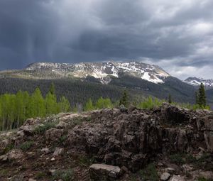 Preview wallpaper mountains, landscape, forest, trees, stones