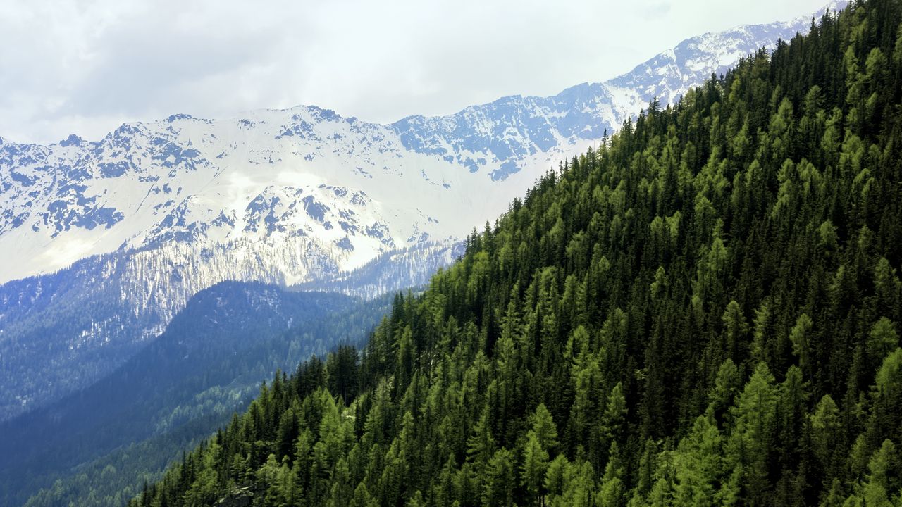 Wallpaper mountains, landscape, forest, snow, nature