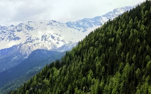 Preview wallpaper mountains, landscape, forest, snow, nature